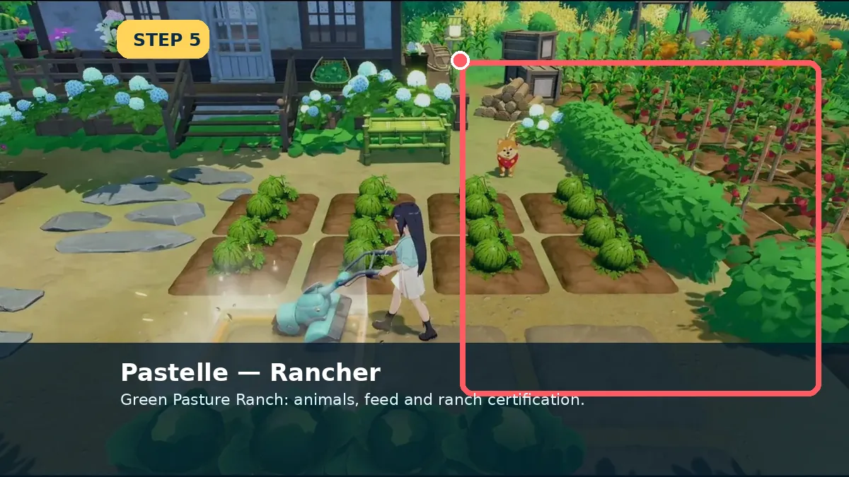 Pastelle — Rancher
